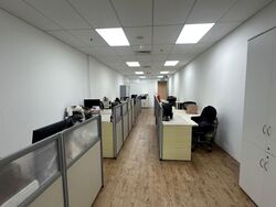 Havelock2 (D1), Office #584842431